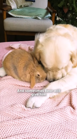 H2404008 They can’t ask… you hear. (Part 2)