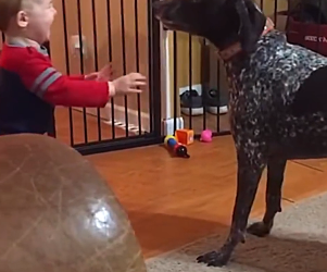 D0704006 Best friends (Part 2)