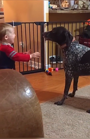 D0704006 Best friends (Part 2)