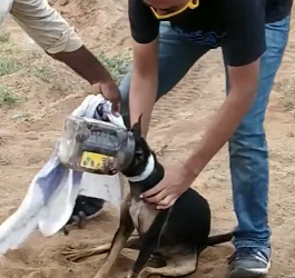 H2404009 They can’t fight alone… you can help. (Part 2)