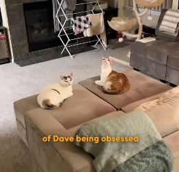 H2404011 They don’t have options… you have many. (Part 2)