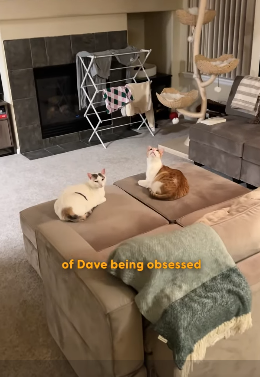 H2404011 They don’t have options… you have many. (Part 2)