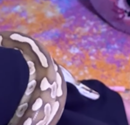 H2404012 They don’t have hope… unless you give it. (Part 2)