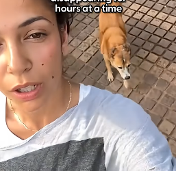 H2604003 Senior Dog Kept Disappearing For Hours Until His Mom Found Out Why (Part 2)