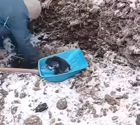 I2604001 If you know… change it. (Part 2)