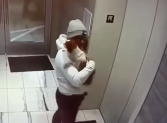 O2404003 Los animales merecen ser protegidos (Part 2)