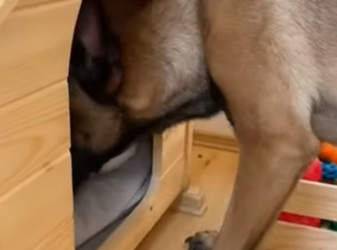 V2204006 One snowy night, three intruders suddenly stepped into my house… (Part 2)