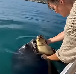 Z2404007 They need hope… not delay. (Part 2)