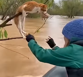 Z2404008 Reality hurts… ignoring doesn’t help. (Part 2)