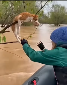 Z2404008 Reality hurts… ignoring doesn’t help. (Part 2)