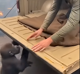 Z2404009 Seeing isn’t enough… acting is. (Part 2)