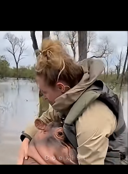 Z2404010 Feeling isn’t enough… doing is. (Part 2)