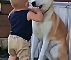 D0904002 Best friends (Part 2)