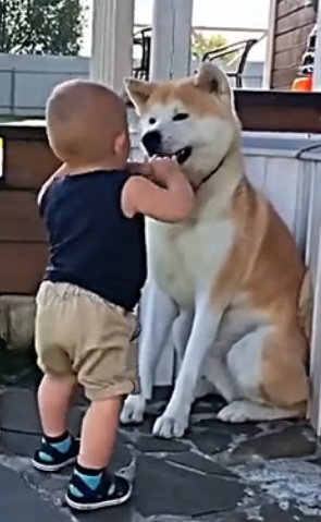 D0904002 Best friends (Part 2)