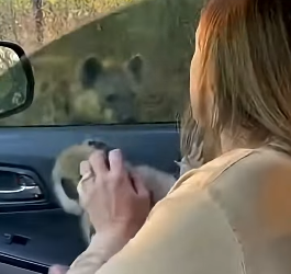 Z2404012 Awareness isn’t enough… action is. (Part 2)