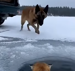 Z2604001 One moment saves a life. (Part 2)