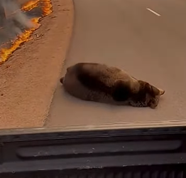 Z2604002 One act changes everything. (Part 2)