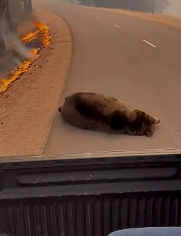 Z2604002 One act changes everything. (Part 2)