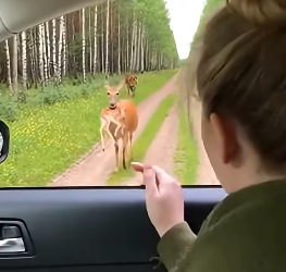 Z2604003 One choice matters. (Part 2)