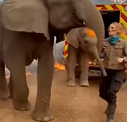 Z2604004 One life is waiting. (Part 2)