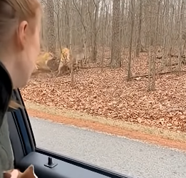 Z2604006 This is your impact — create it. (Part 2)