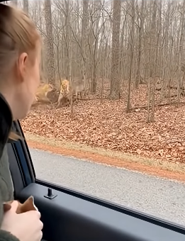 Z2604006 This is your impact — create it. (Part 2)