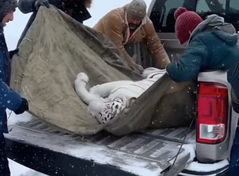 Q2404008 Sympathy isn’t enough… help is. (Part 1)