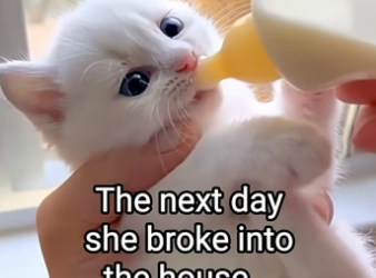 Q2404010 Caring isn’t enough… proving is. (Part 2)