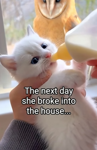 Q2404010 Caring isn’t enough… proving is. (Part 2)