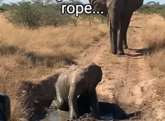 Q2404011 Watching isn’t enough… saving is. (Part 2)