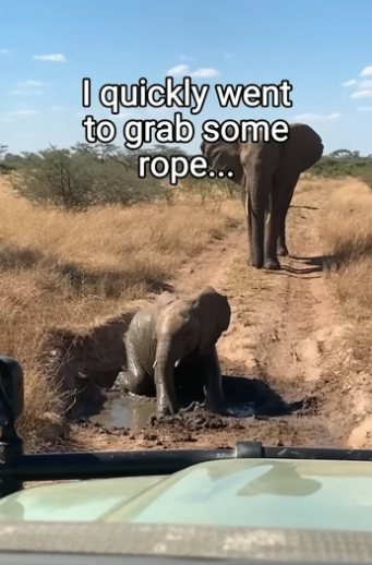 Q2404011 Watching isn’t enough… saving is. (Part 2)