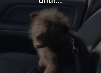 Q2404012 Sympathy isn’t enough… help is. (Part 2)