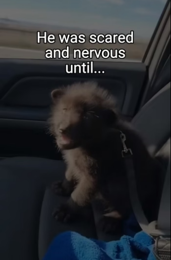 Q2404012 Sympathy isn’t enough… help is. (Part 2)