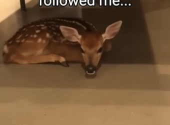 Q2604001 Any suggestions on what to do!？ (Part 2)