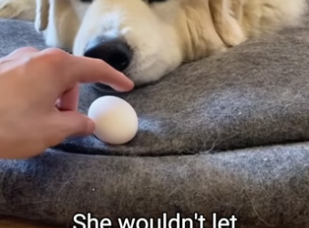 Q2604003 What should i build next (Part 2)