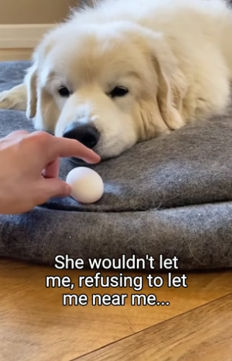 Q2604003 What should i build next (Part 2)