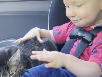 H2604011 This Little Boy Chose His Best Friend the Moment He Met Him (Part 2)