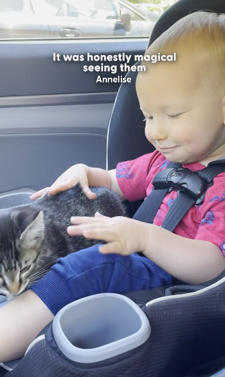 H2604011 This Little Boy Chose His Best Friend the Moment He Met Him (Part 2)