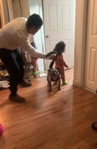 J0105005 Dogs are the best protectors of children (Part 2)