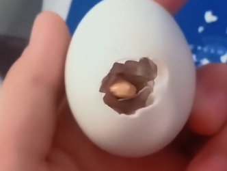 E0505005 This woman rescued an abandoned duck egg, and then this happened (Part 2)