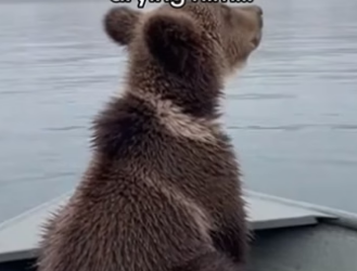 Q2804011 If you care… prove it. (Part 2)