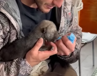 E0605023 This family rescued a puppy who had lost its mother, and then this happened (Part 2)