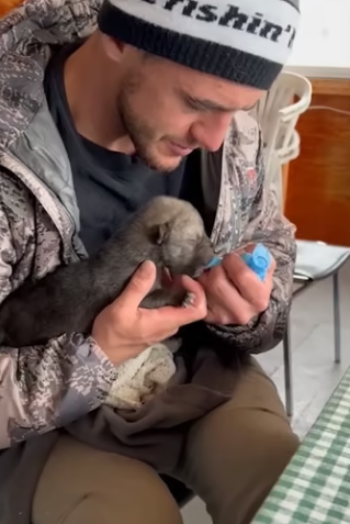 E0605023 This family rescued a puppy who had lost its mother, and then this happened (Part 2)