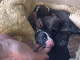 H0605012 The cost of helping may feel real… but the cost of doing nothing is a life. Which one matters more? (Part 2)