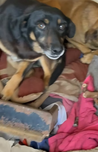 H1105004 The cost of helping feels real… but the cost of doing nothing is a life. Which one matters more? (Part 2)