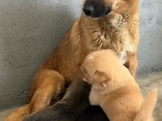 D1505017 Every life matters — but not every life gets saved. Could yours be the difference? (Part 2)