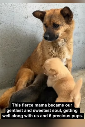 D1505017 Every life matters — but not every life gets saved. Could yours be the difference? (Part 2)