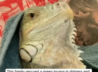 E1505017 You can be someone who saw and did nothing… or someone who made a difference. Which story do you want? (Part 2)