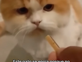 O1505009 Los animales son divertidos  (Part 2)