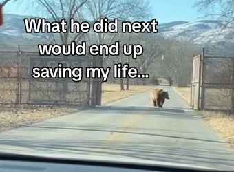 Q0105002 You can save a life today. (Part 2)